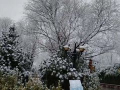 -泰安地下龙宫景区