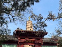 -白塔山公园