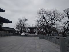 -紫蓬山国家森林公园