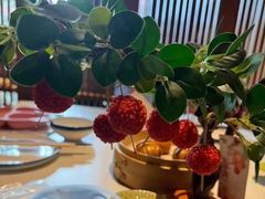 -唐猫庭院·千年陕菜(大唐不夜城店)