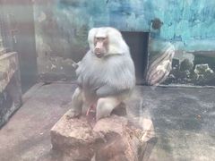 -无锡动物园·太湖欢乐园