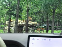 -秦皇岛野生动物园