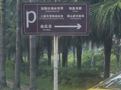 -重庆海昌加勒比海水世界