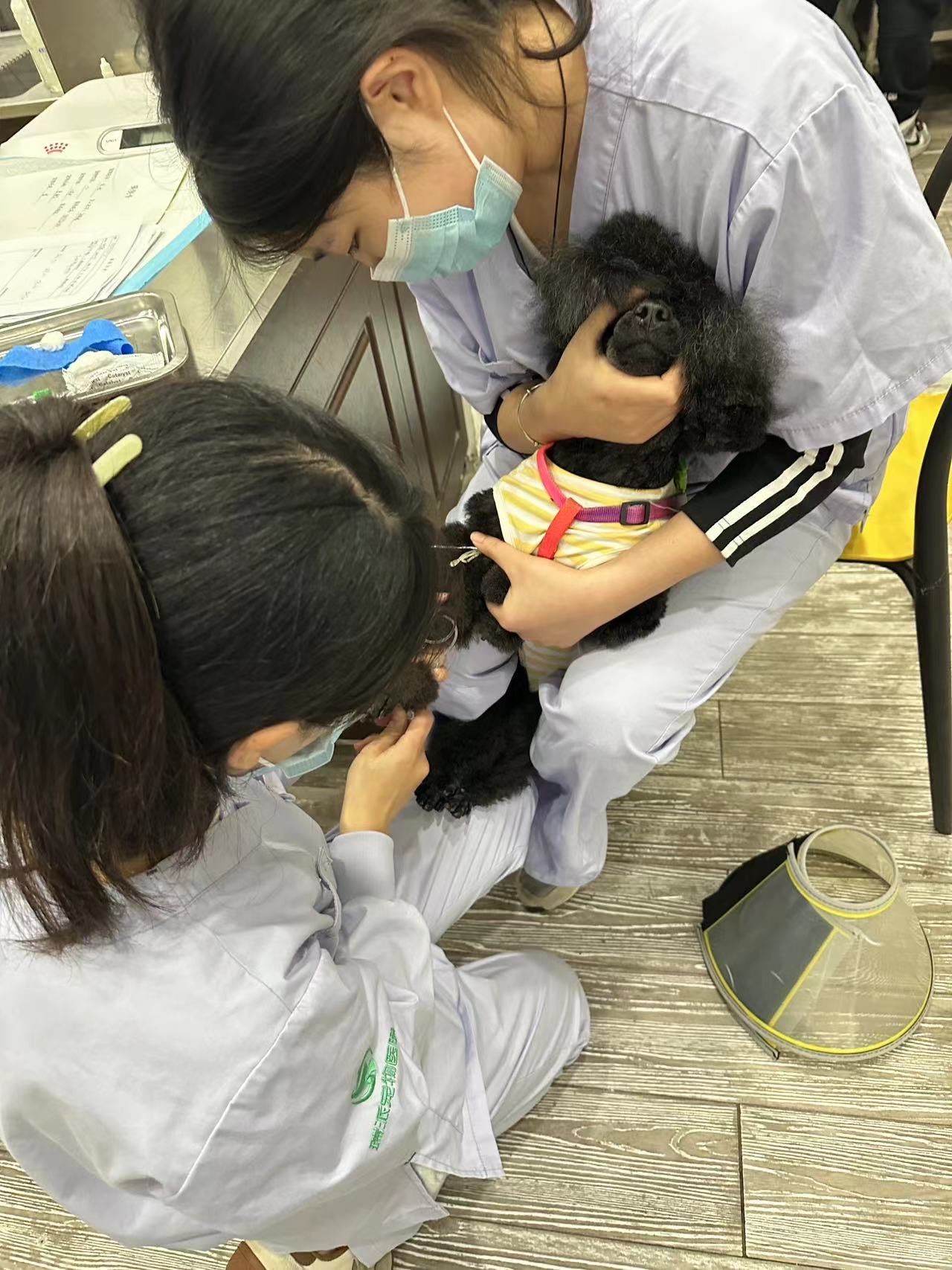 包含北京妇产医院检查陪护加挂号儿童打针吃药耐心哄，配合度满分的词条