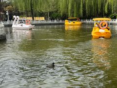 -丰台花园