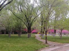 -莲花池公园