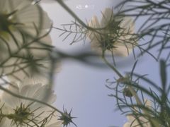 -二沙岛艺术公园