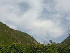 -固始鹅块(张仪村路店)