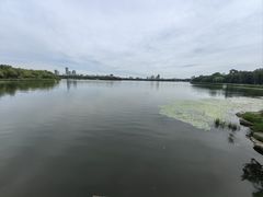 -长春市南湖公园