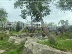 -武汉动物园