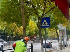 -马永华东乡手抓美食