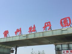 -曹州牡丹园