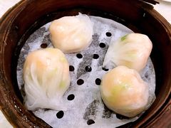 -柳饮·春柳酒家