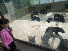 -东方熊牧场