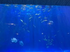 -华夏文旅西安度假区