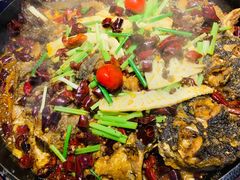 -老板恋上鱼(恒隆广场店)