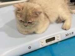 -美迦爱-牙专科·兔科·骨科诊疗中心(北苑店)
