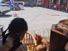 -豆逗聊愈猫阁Easy Life