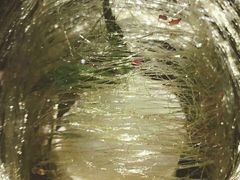 玫瑰奶酪佐荔枝雪芭-王品牛排(佛山南海万科广场店)
