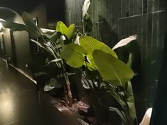 -涟LIAN·泰式按摩·MASSAGE·SPA(华强北店)