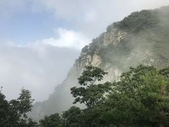 -内乡宝天曼生态旅游区