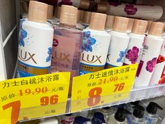 -世纪联华超市(浦电路店)