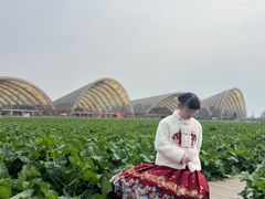 -中国天府农业博览园