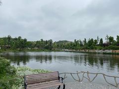-枫香湖儿童公园