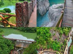 -广州白江湖森林公园