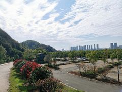 -马口生态公园