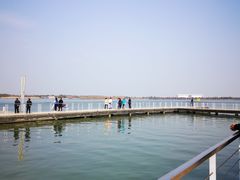 -如皋市龙游湖欢乐世界