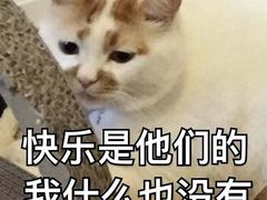 -果渊斋老米家泡馍馆(学诚广场店)