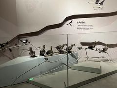 -武汉园博园(武汉自然博物馆)