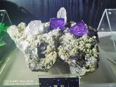 -中国地质博物馆