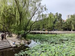 -满都海公园