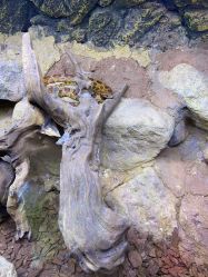 -酷嗒动物文化乐园(cutezoo西溪乐天城店)