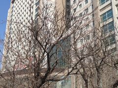 -中国医科大学附属盛京医院(南湖院区)