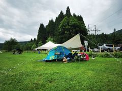 -武陵山森林公园