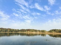 -溱湖国家湿地公园