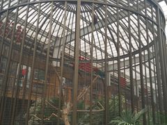 鹦鹉园-南宫五洲植物乐园