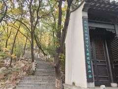 -石老人观光园