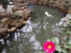 -兴福老面馆(寺路街店)