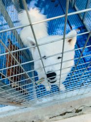 -萌宠亲子动物乐园(槐房万达店)