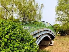 -莫子山公园