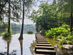 -重庆彩云湖湿地公园