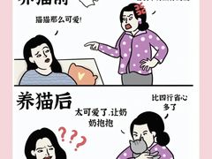 -瑞鹏宠物医院犬猫全科(真大分院)