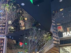 -桂满陇·海市蜃楼·黑金(国金店)