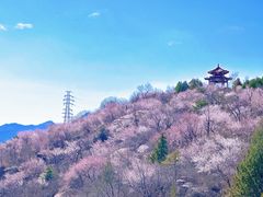 -白水寺森林公园