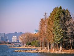 -长广溪湿地公园
