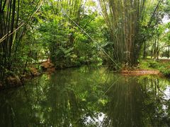 -大屏嶂森林公园